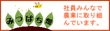 �݂΂����`�Ј��݂�ȂŔ_�ƂɎ��g��ł��܂��`